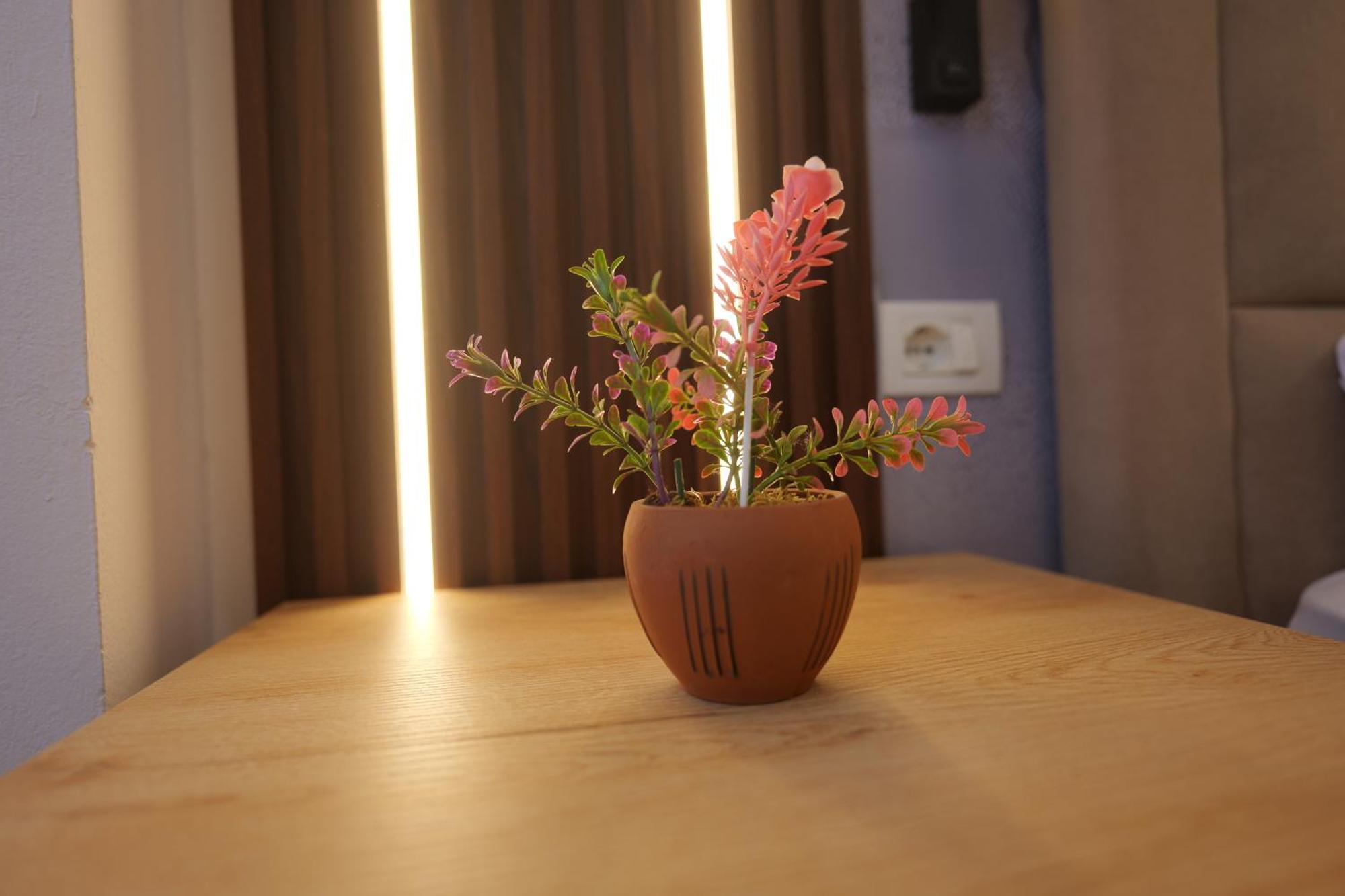Golden Sleep Hostel Shkoder Luaran gambar